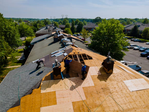 Trusted Storm Damage Roof Repair service in Saint Paris, OH - Brentwood Metal Roofing